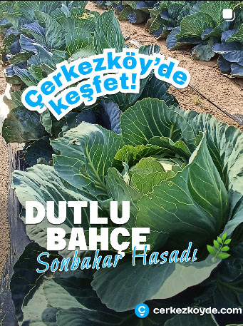 Dutlu Bahçe